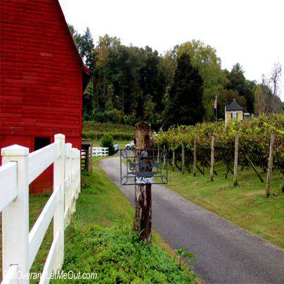 Western North Carolina Wine Tours Western North Carolina Wine Tours